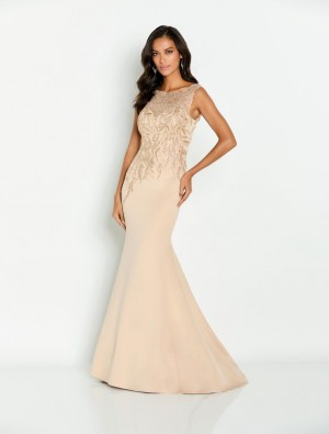 Cameron Blake CB148 Mother of Bride Gown with Illusion