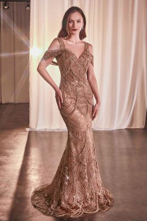 Ladivine CC4020 Prom Dress