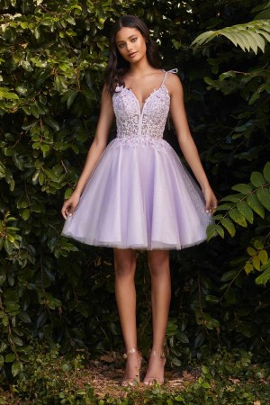Ladivine CD0188 Sheer Corset Short Party Dress
