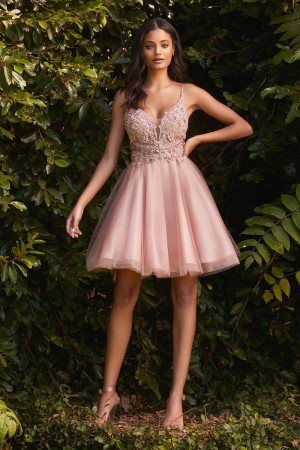 Ladivine CD0190 Shimmering Short Prom Dress