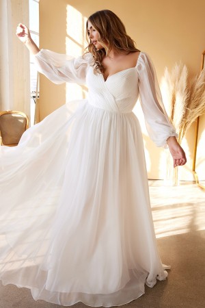 Ladivine CD243WC Plus Size Sheer Long Sleeve Bridal Gown