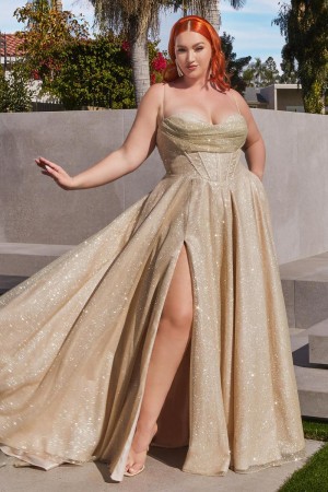 Ladivine CD252C Shimmering Plus Size Prom Dress
