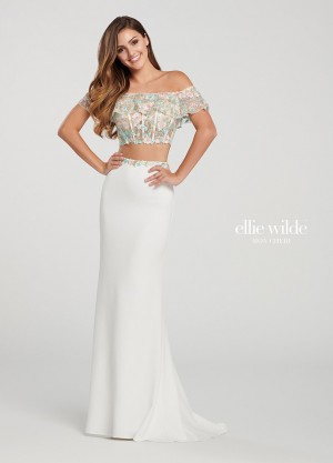 Ellie Wilde EW119012 Embroidered 2 Piece Prom Gown