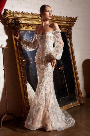 Ladivine J816 Sheer Long Sleeve Gown