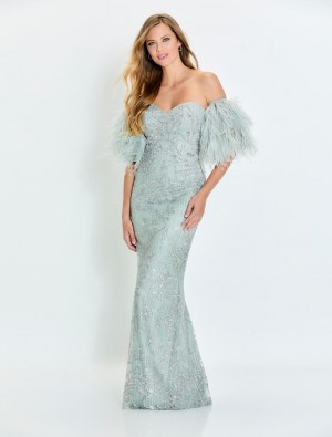 Montage M525 Lace Mothers Gown with Feather Sleeves