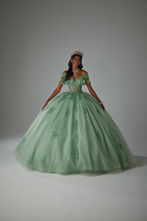 Size 10 Sage Vizcaya 89445 Glamorous 3D Floral Quinceanera Dress