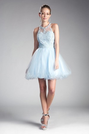 Ladivine UJ0119 Sheer High Neck Short Party Dress