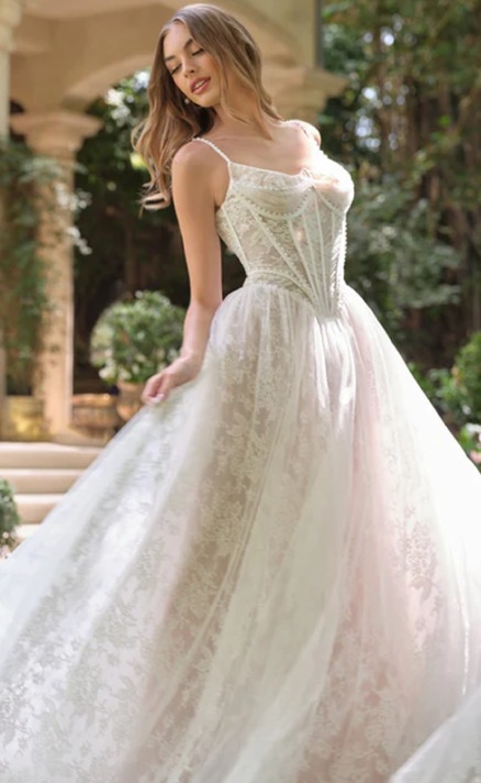Photo of the model wearing a Bridal gown